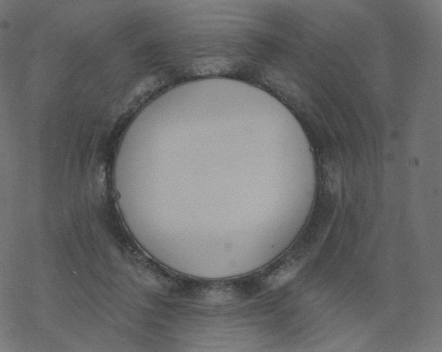 X0000077400308200611032033