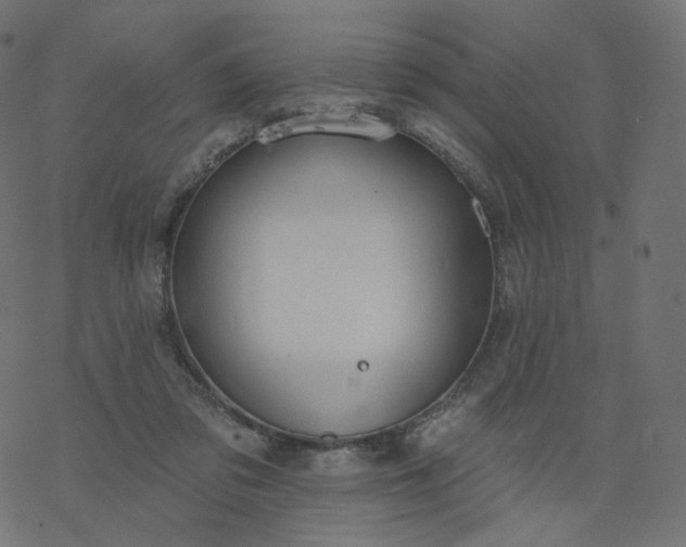 X0000077400309200611032033