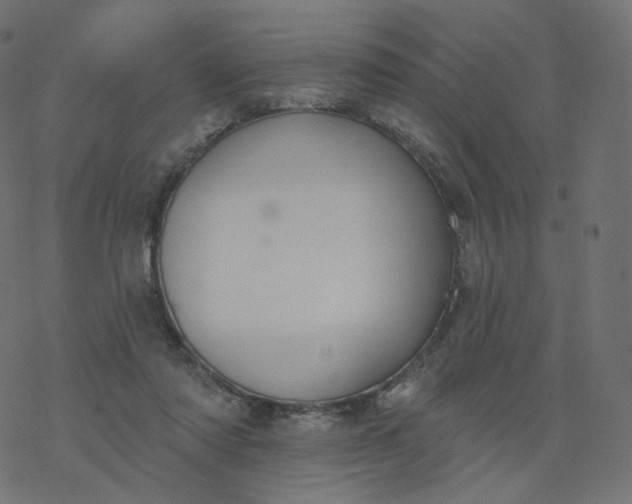 X0000077400310200611032033