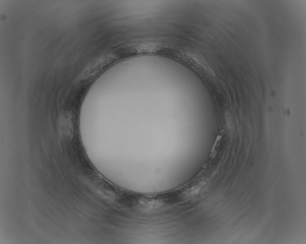 X0000077400311200611032033