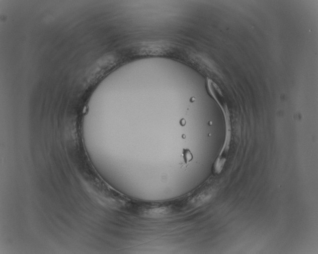 X0000077400312200611032033