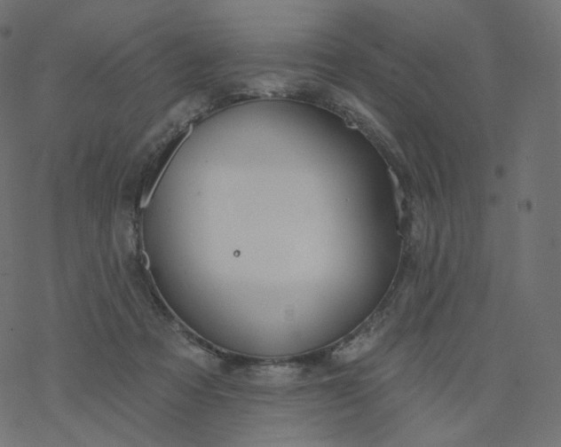 X0000077400313200611032033