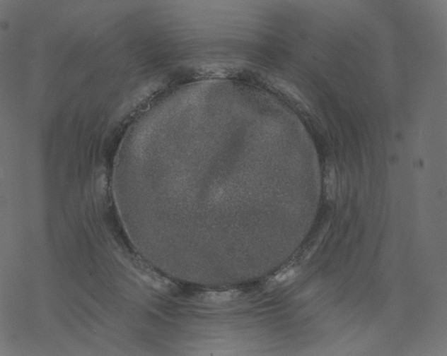 X0000077400314200611032033