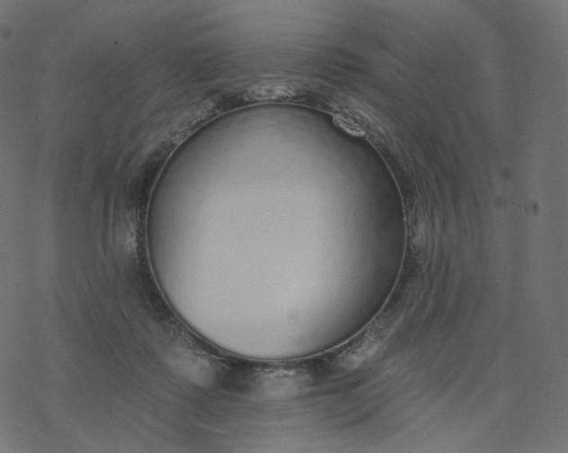 X0000077400315200611032033