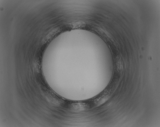 X0000077400316200611032033