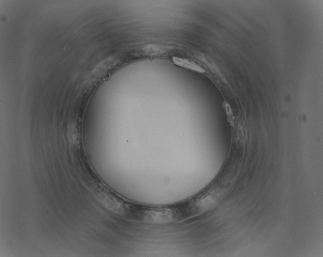 X0000077400317200611032033