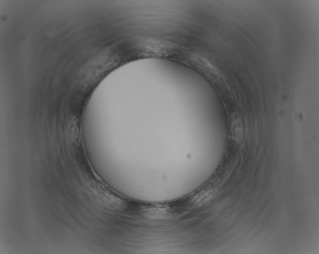 X0000077400318200611032033