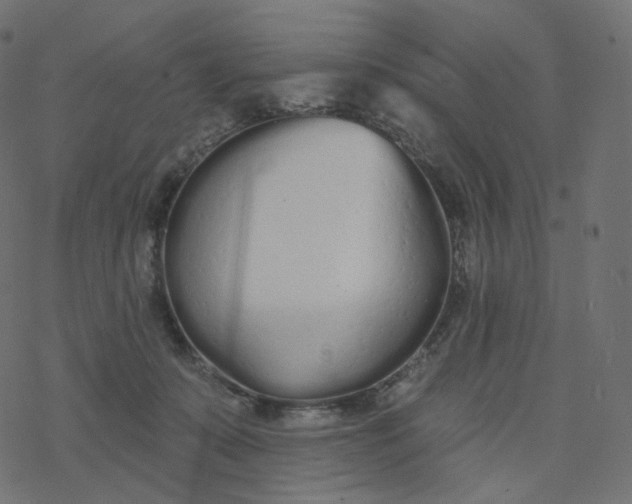 X0000077400319200611032033