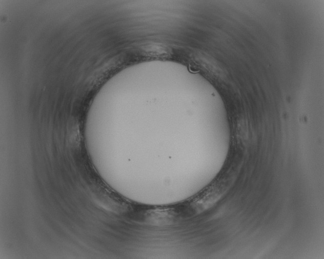 X0000077400320200611032033