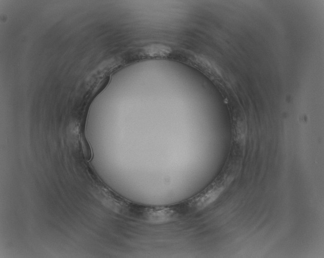 X0000077400321200611032033