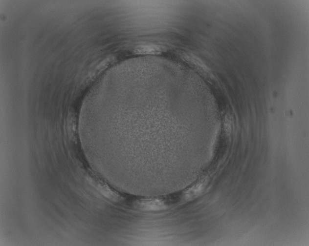 X0000077400322200611032033