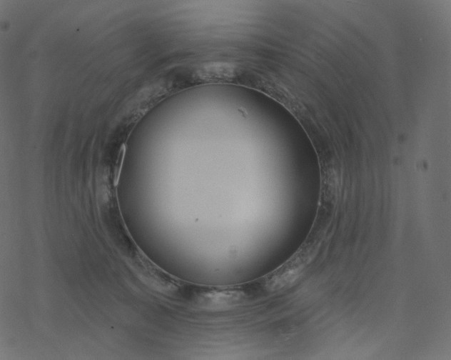 X0000077400323200611032033