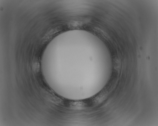 X0000077400324200611032033