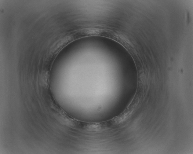 X0000077400325200611032033