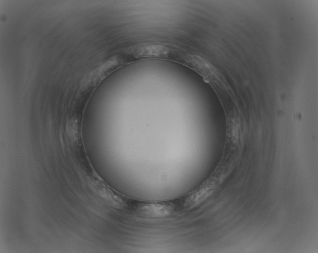 X0000077400326200611032033