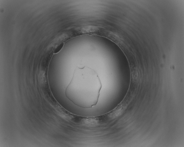 X0000077400327200611032033