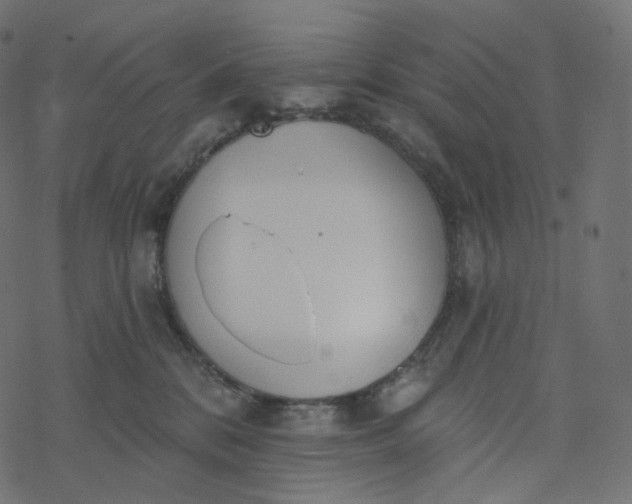 X0000077400328200611032033