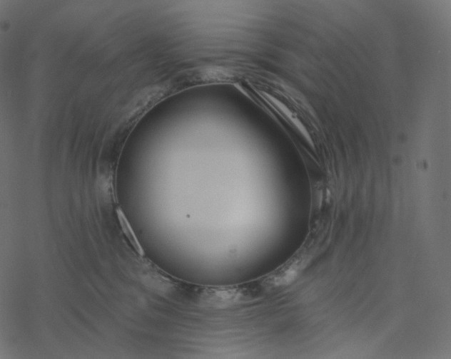 X0000077400329200611032033