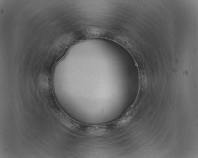 X0000077400331200611032033