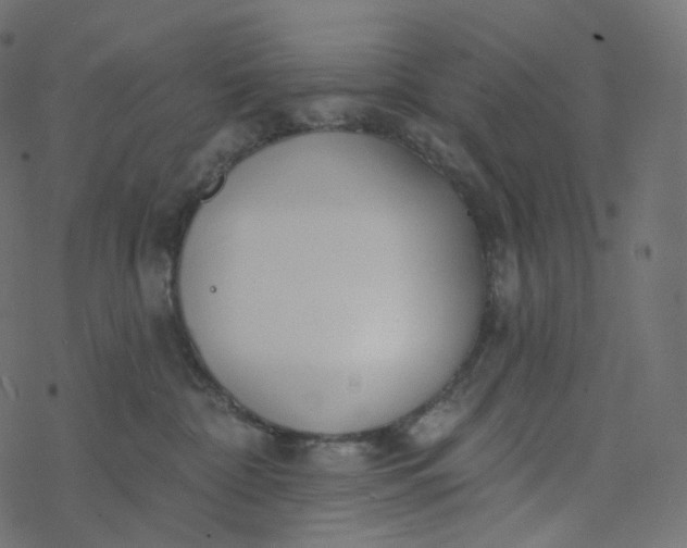 X0000077400332200611032033