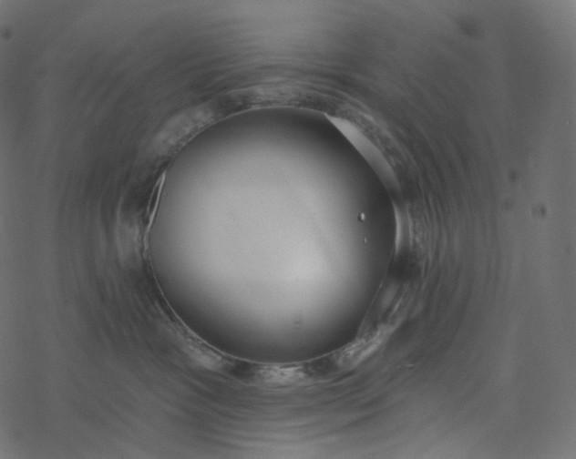 X0000077400333200611032033