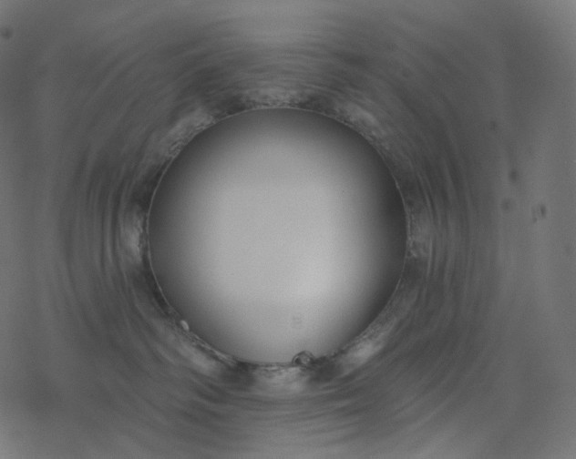 X0000077400334200611032033