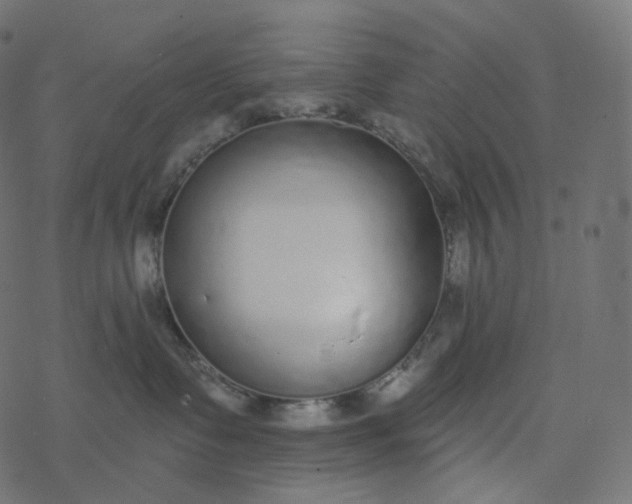 X0000077400335200611032033