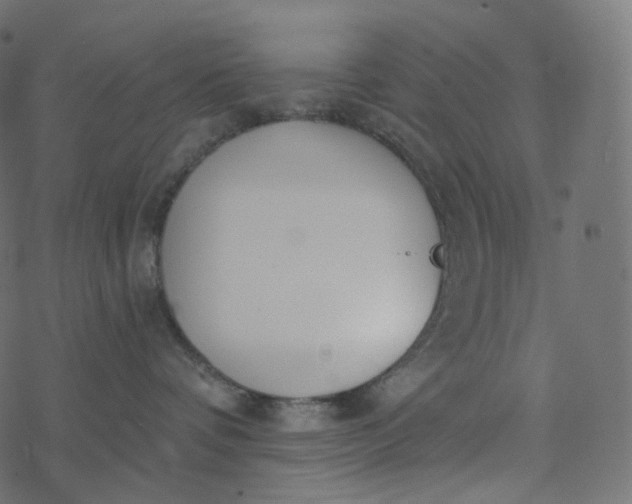 X0000077400336200611032033