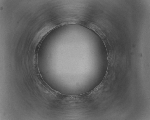 X0000077400338200611032032