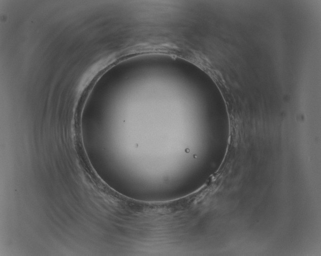 X0000077400340200611032032