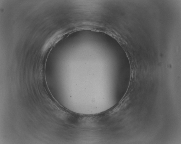 X0000077400341200611032032