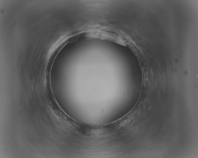 X0000077400344200611032032