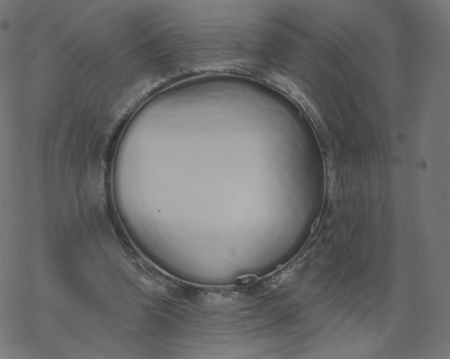 X0000077400346200611032032