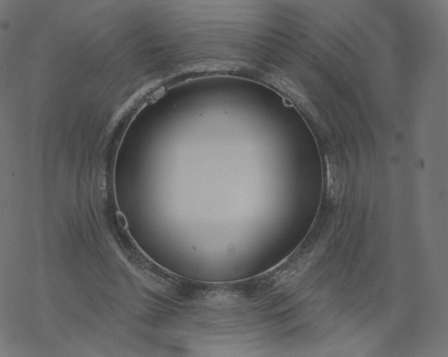 X0000077400348200611032032