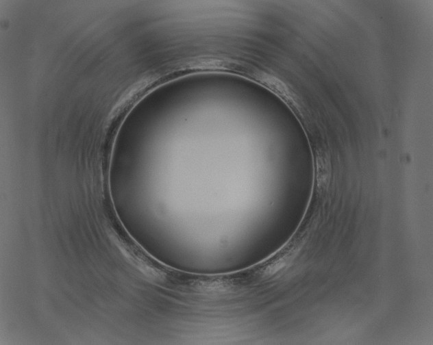 X0000077400349200611032032