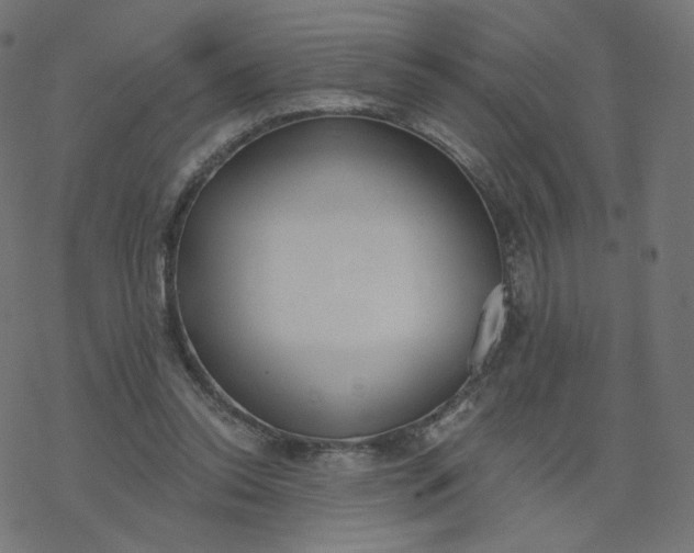 X0000077400350200611032032