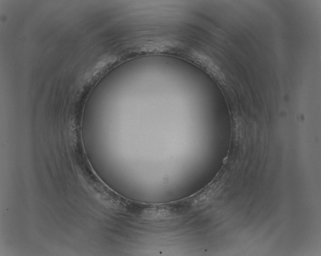 X0000077400354200611032032