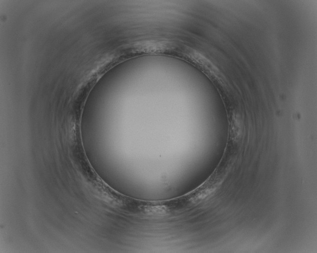 X0000077400355200611032032