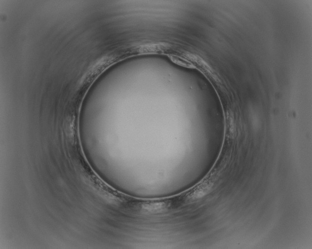 X0000077400357200611032032