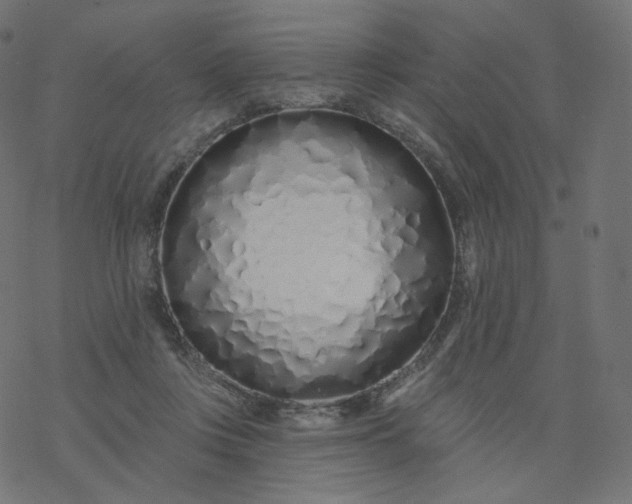 X0000077400359200611032032