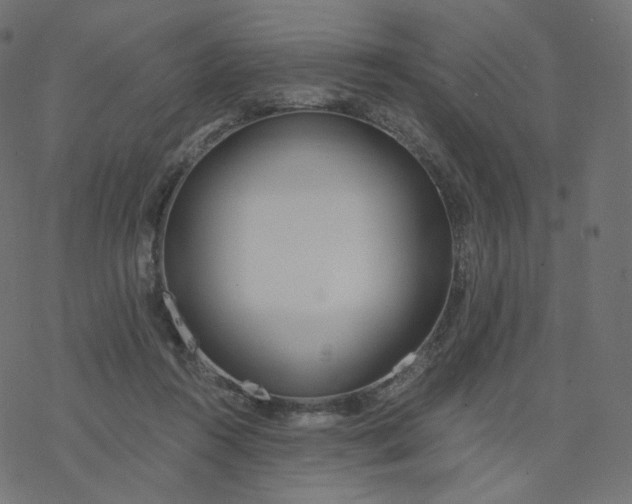 X0000077400360200611032032