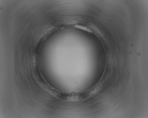 X0000077400362200611032032