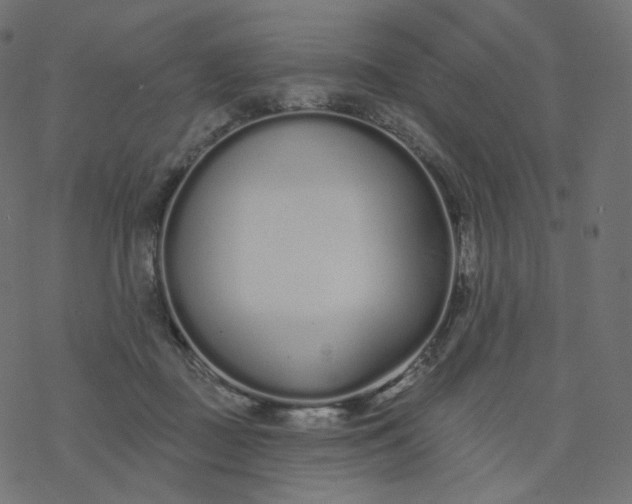 X0000077400363200611032032