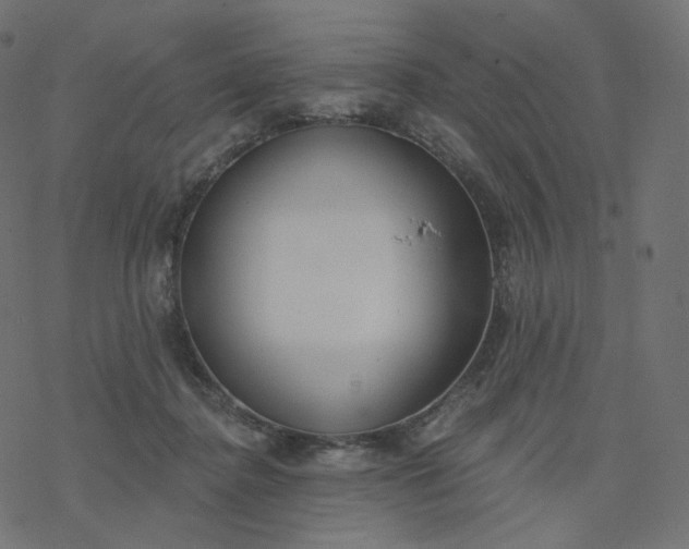 X0000077400364200611032032