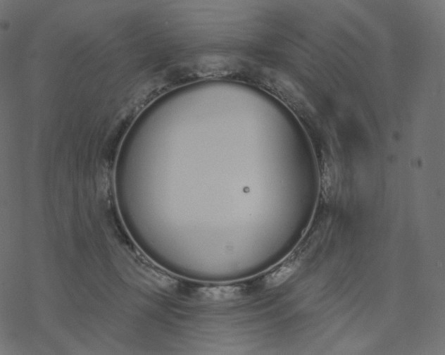 X0000077400367200611032032