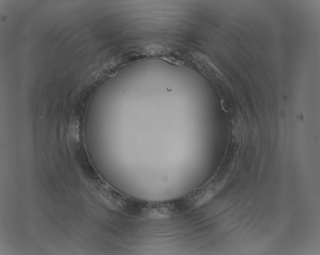 X0000077400368200611032032