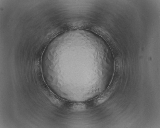 X0000077400369200611032032