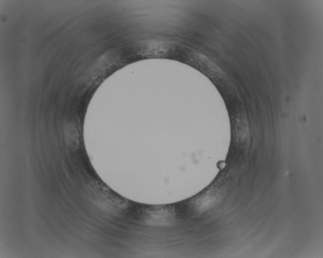 X0000077400370200611032032