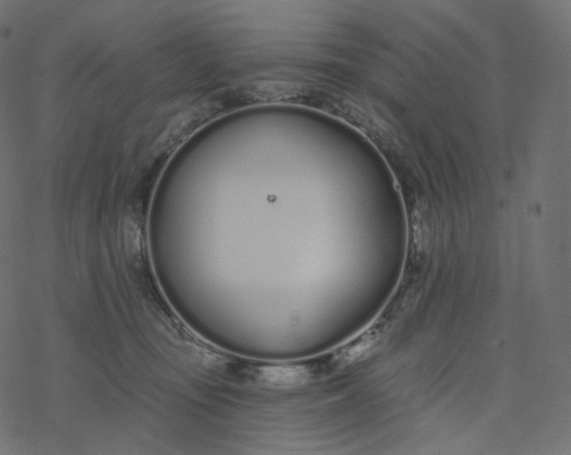 X0000077400371200611032032