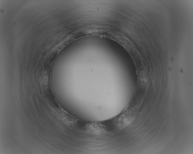 X0000077400372200611032032